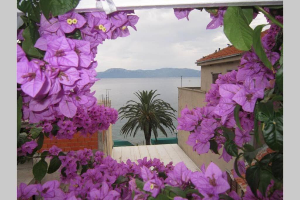 Apartman Graciela Perfect Location Gradac Gradac  Exterior photo
