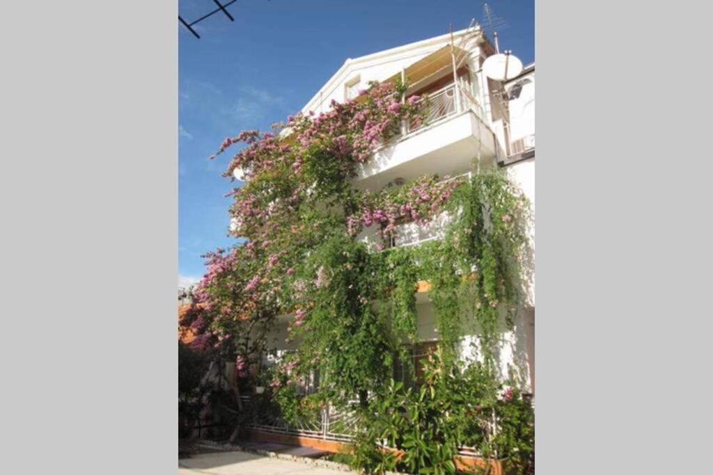 Apartman Graciela Perfect Location Gradac Gradac  Exterior photo