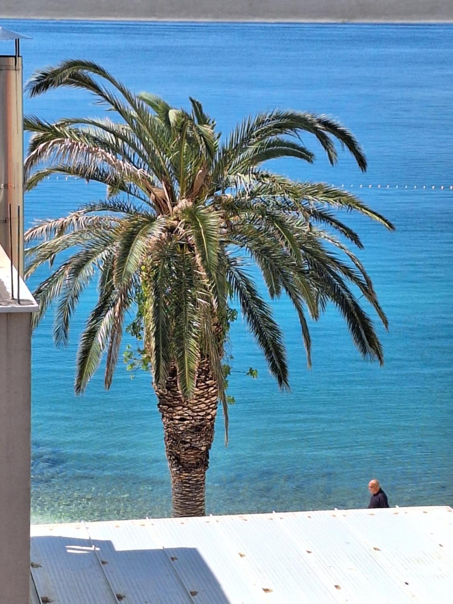 Apartman Graciela Perfect Location Gradac Gradac  Exterior photo